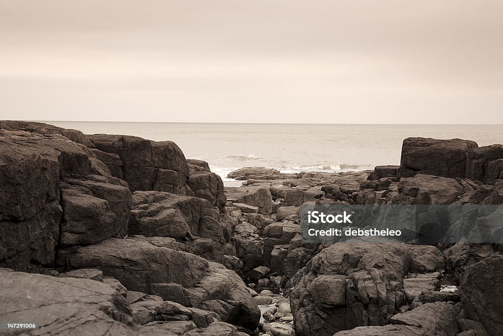 Kamienie na plaży Northumberland - Zbiór zdjęć royalty-free (Anglia)