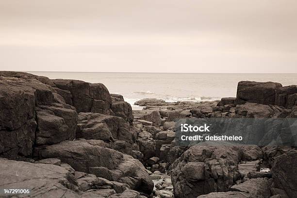 Kamienie Na Plaży Northumberland - zdjęcia stockowe i więcej obrazów Anglia - Anglia, Bamburgh, Bez ludzi