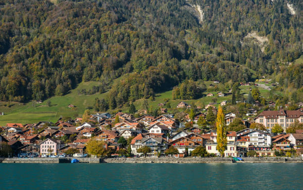 beautiful scenery of lake brienz, switzerland - helvetic imagens e fotografias de stock