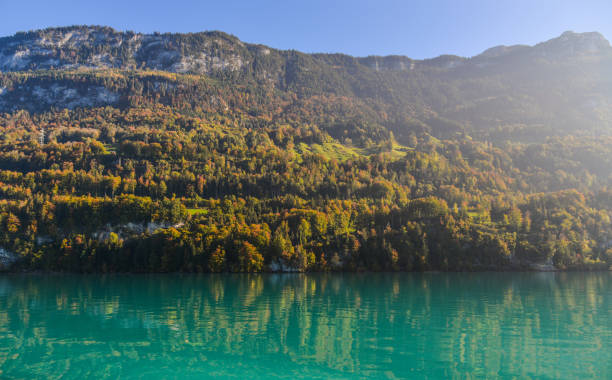 beautiful scenery of lake brienz, switzerland - helvetic imagens e fotografias de stock