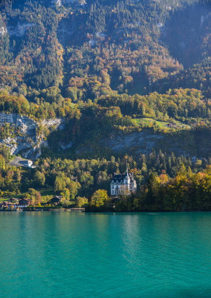 beautiful scenery of lake brienz, switzerland - helvetic imagens e fotografias de stock