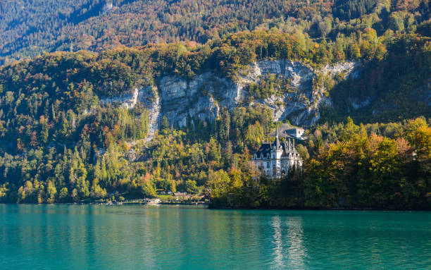 splendido scenario del lago di brienz, svizzera - brienz bernese oberland village lake foto e immagini stock