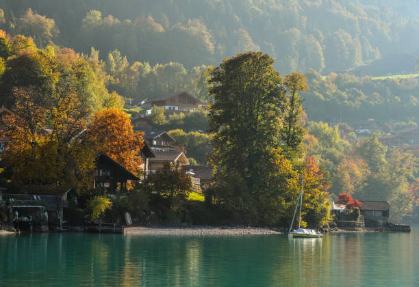 beautiful scenery of lake brienz, switzerland - helvetic imagens e fotografias de stock