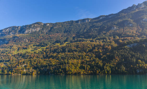 beautiful scenery of lake brienz, switzerland - helvetic imagens e fotografias de stock