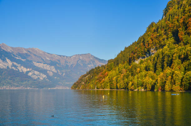 splendido scenario del lago di brienz, svizzera - brienz house switzerland european alps foto e immagini stock