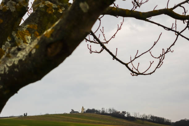 istock standing on a tree and view to a hill with a church 1472917068