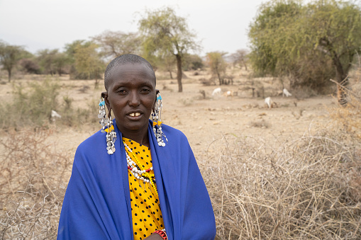 Karatu, Tanzania - October 16th, 2022: A portrait of a masai woman in traditional clothes and jewelry. Her village's thorn fence and some goats are behind her.