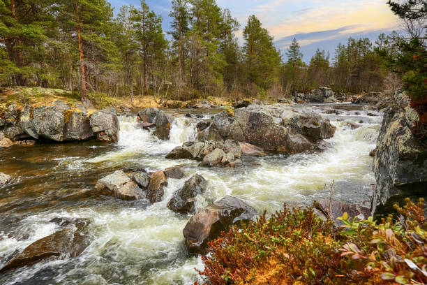 istock Spring flood at the river Inna, Norway 1472917435