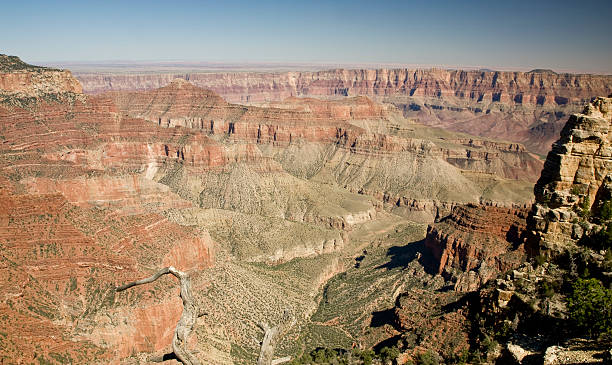 Grand Canyon From Cape Royal The Grand Canyon seen from the North Rim at Cape Royal. cape royal stock pictures, royalty-free photos & images
