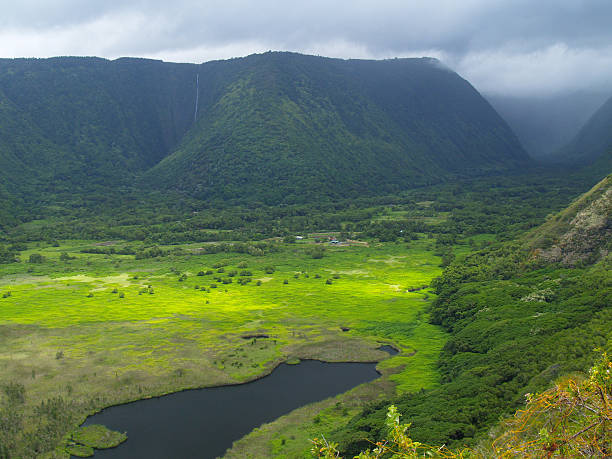 vale waipio, big island, havaí - hamakua coast imagens e fotografias de stock