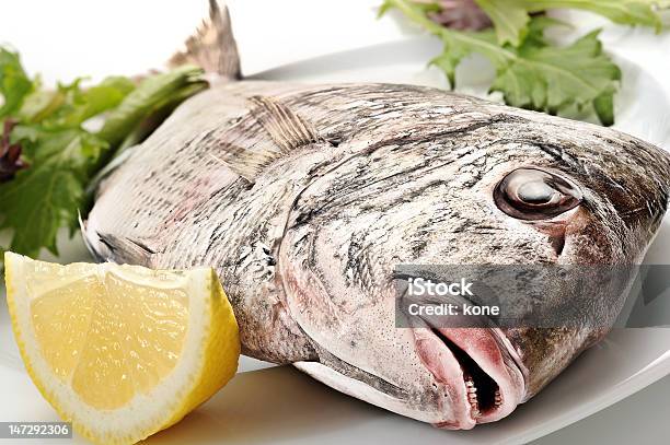 De Peixe - Fotografias de stock e mais imagens de Alface - Alface, Alimentação Saudável, Almoço