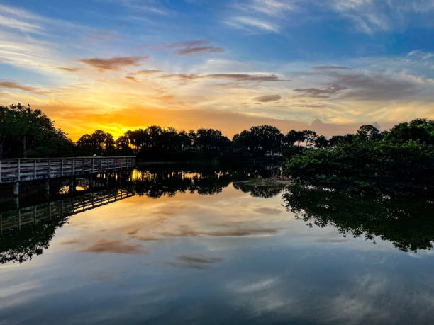 istock sunset in the swamp 1472923242