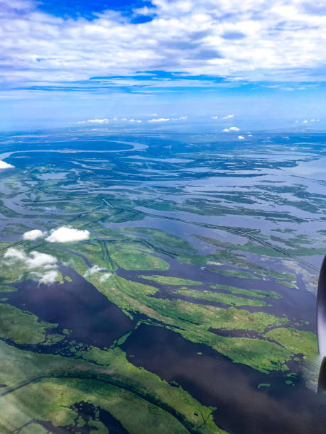 vista aérea do avião em dia tempestuoso no pântano de nova orleans - swamp moody sky marsh standing water - fotografias e filmes do acervo