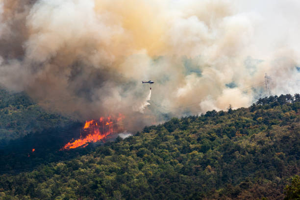 helicopter against wildfire during strong wind and drought near miren castle in slovenia - forest fire power actions nature imagens e fotografias de stock