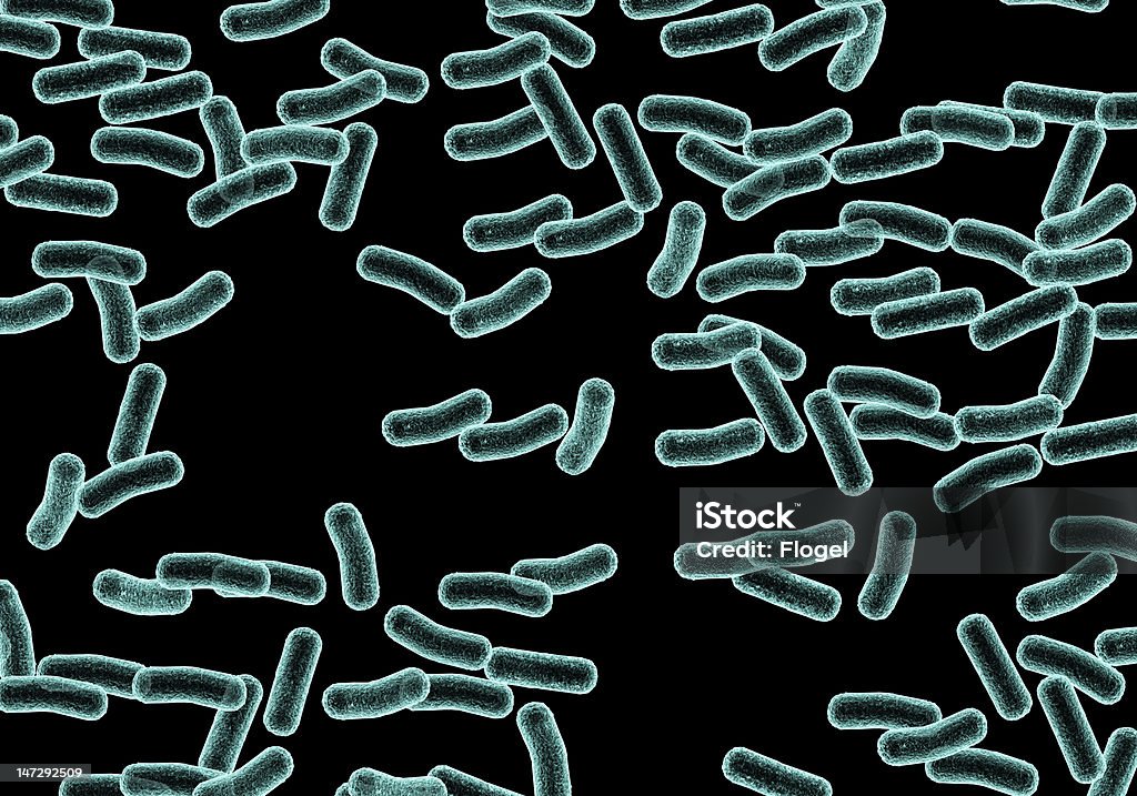Bactérie - Photo de Bactérie libre de droits