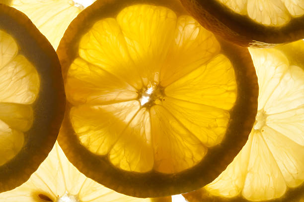 citrus lemon slices stock photo
