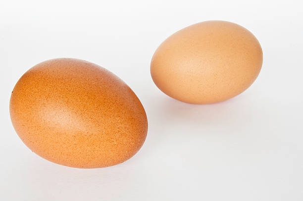Medium British Eggs stock photo