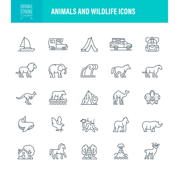 ilustraciones, imágenes clip art, dibujos animados e iconos de stock de trazo editable de iconos de animales y vida silvestre - symbol sea animal owl