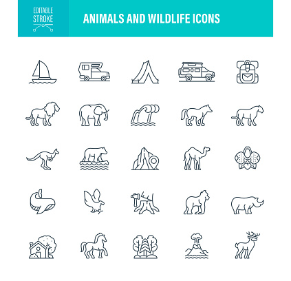 Animals and Wildlife Icons Editable Stroke. The set contains icons as Camping, Forest, Nature, Hiking, Zoo, Sea