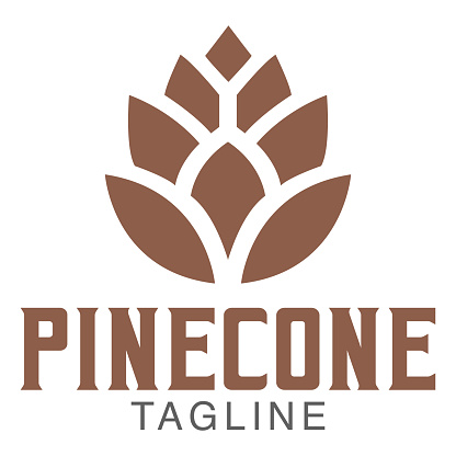 Modern vector simple pinecone logo design icon template. vector illustration for brand, label, company. Isolated on white background