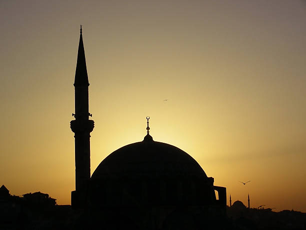 Mosque at Istanbul stock photo