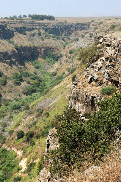 istock Gamla Nature Reserve in Israel 1472935894