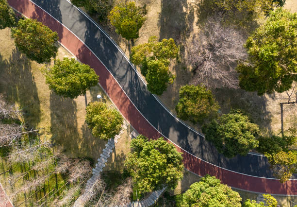 istock Colorful walking path overlooking the woods 1472935910