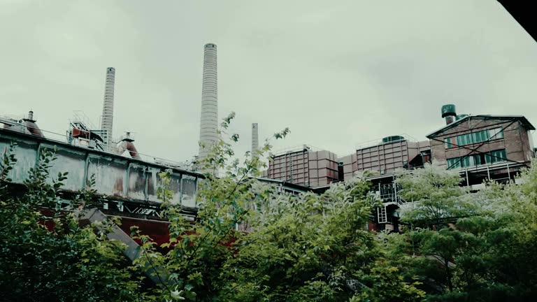 Ruins of an old factory. stock video