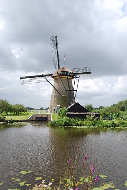 Windmill in Kinderdijk stock photo