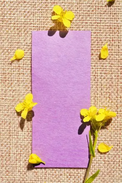 Photo of Stylish title space mock-up with jute hemp fabric background decorated with yellow oilseed rape flowers, vertical