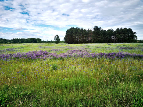 istock Poland travel 1472937827
