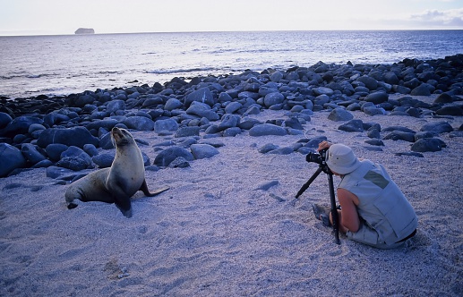 photographer faces off with sealion in the Galapagos Islands, off the coast of Ecuador