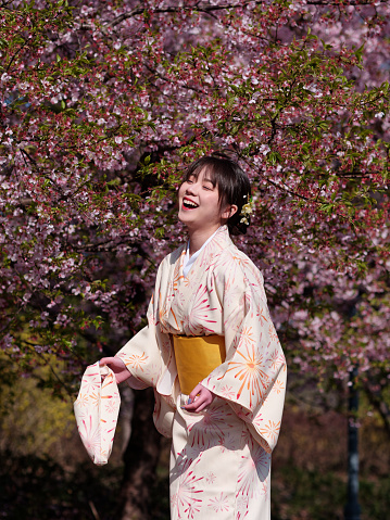 Portrait of beautiful young Chinese girl in Japanese kimono posing with blossom cherry flowers background in spring garden, beauty, emotion, lifestyle, expression and people concept.