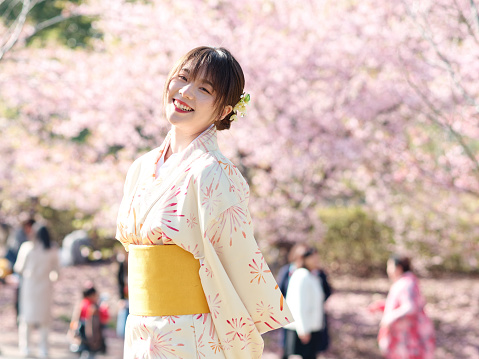 Portrait of beautiful young Chinese girl in Japanese kimono posing with blossom cherry flowers background in spring garden, beauty, emotion, lifestyle, expression and people concept.