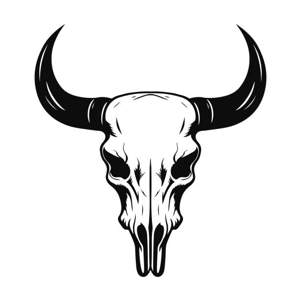 ilustraciones, imágenes clip art, dibujos animados e iconos de stock de cráneo de vaca. silueta en blanco y negro. ilustración vectorial - animal skull animal bone anatomy animal