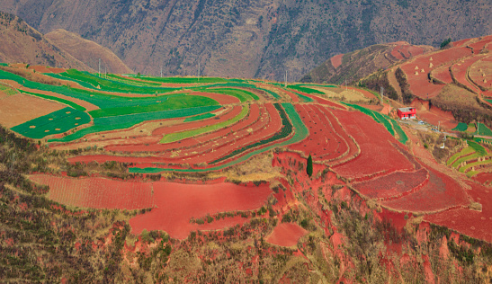 Dongchuan Red Land is a new rising tourist destination near Kunming, loved by photographers and backpackers, and praised as \