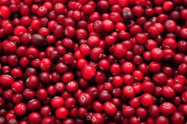 Cranberry Cranberry a berry red finely stock pictures, royalty-free photos & images