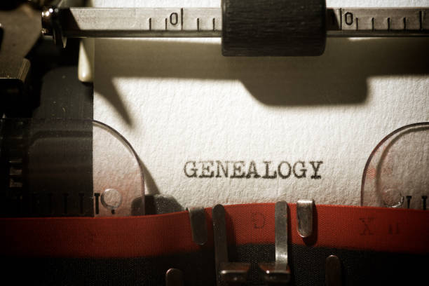 Genealogy concept view Genealogy word written with a typewriter. genealogy stock pictures, royalty-free photos & images
