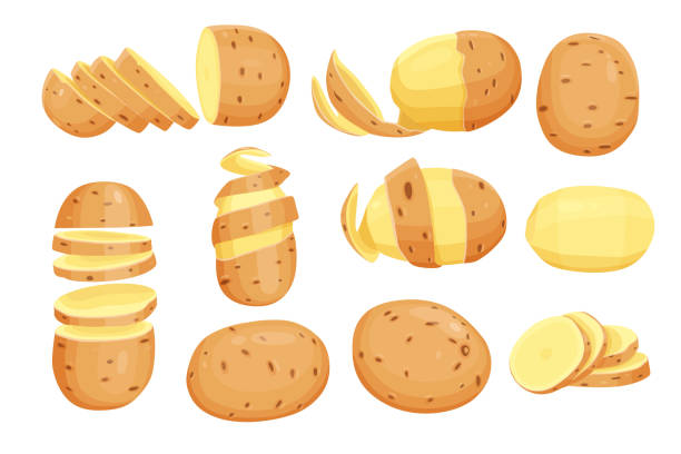 illustrazioni stock, clip art, cartoni animati e icone di tendenza di set di illustrazione vettoriale di patate. isolato su sfondo bianco. - ricette di patate