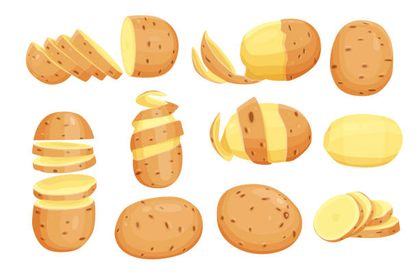 набор векторных иллюстраций картофеля. изолирован на белом фоне. - raw potato isolated vegetable white background stock illustrations