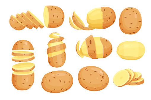 set of Potatoes vector illustration. isolated on white background. Vector eps 10. perfect for wallpaper or design elements