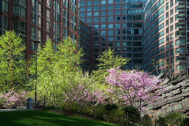 istock Modern residential apartments with garden space 147294656