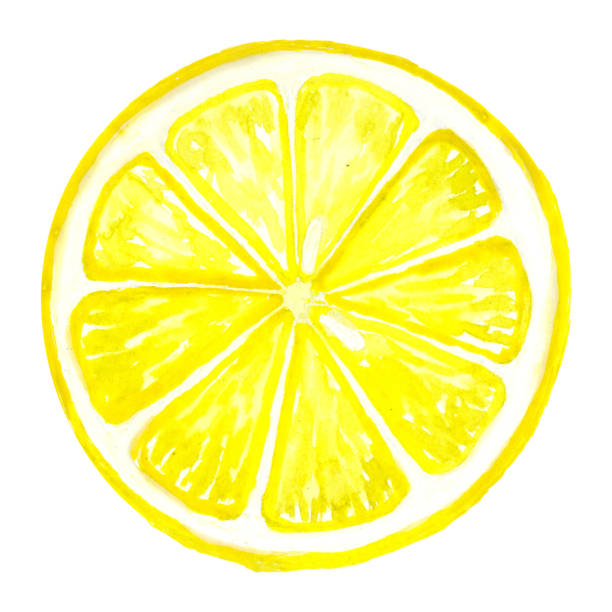 owoc cytryny, plasterek, izolowany na białym tle. - lemon isolated clipping path white background stock illustrations