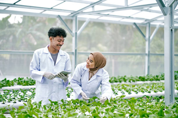 istock Asian scientists are studying the genetic structure of vegetables in a hydroponic farm. 1472949740