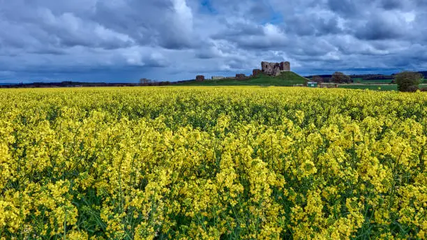 Photo of Duffus Castle