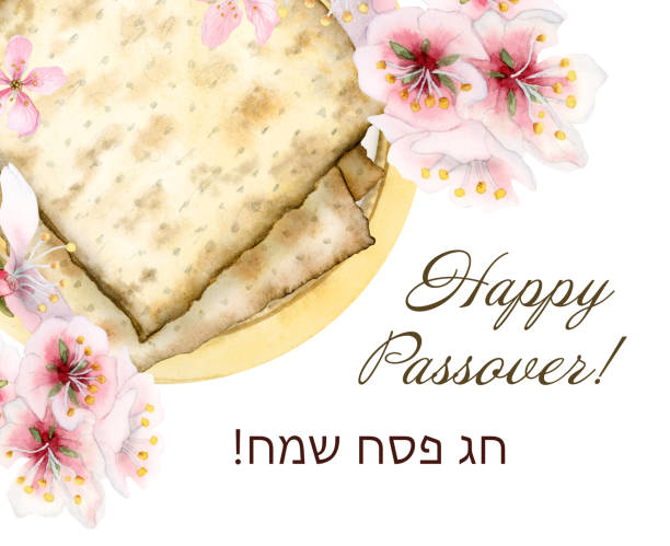 illustrazioni stock, clip art, cartoni animati e icone di tendenza di banner di saluto ad acquerello di buona pasqua con pane matzah sul piatto, fiori di mandorlo, chag sameah saluti ebraici - passover seder table judaism