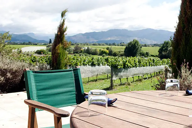 Set table in vineyard in New Zealand