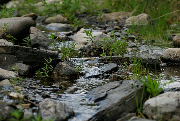 Wolno Creek. – zdjęcie