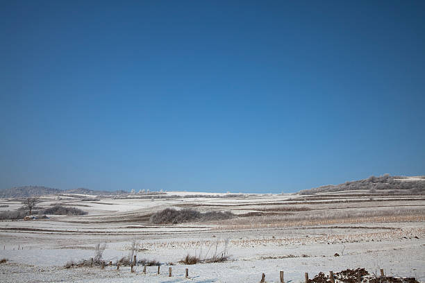 winter landscape stock photo