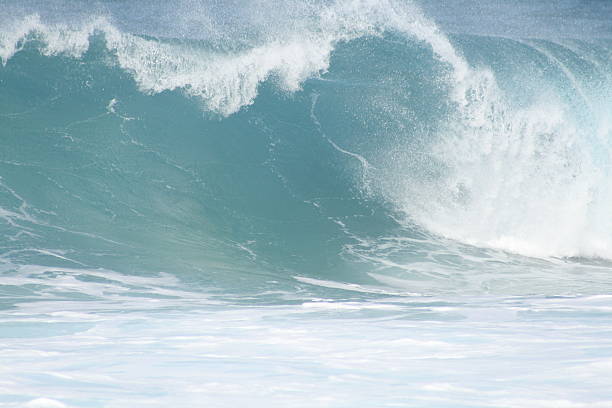 Crashing Wave stock photo